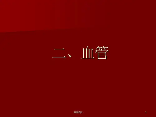 循环系统的结构与功能