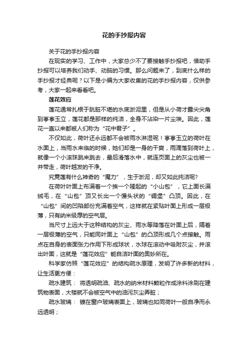 关于花的手抄报内容