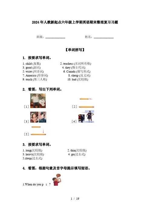 2024年人教新起点六年级上学期英语期末整理复习习题