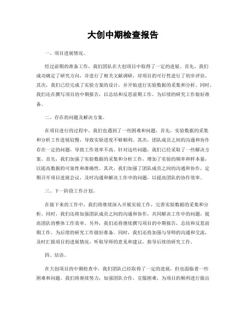 大创中期检查报告