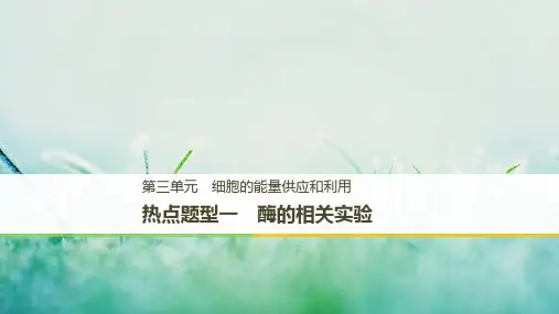 高考热点题型(一)酶的相关实验课件(含答案)