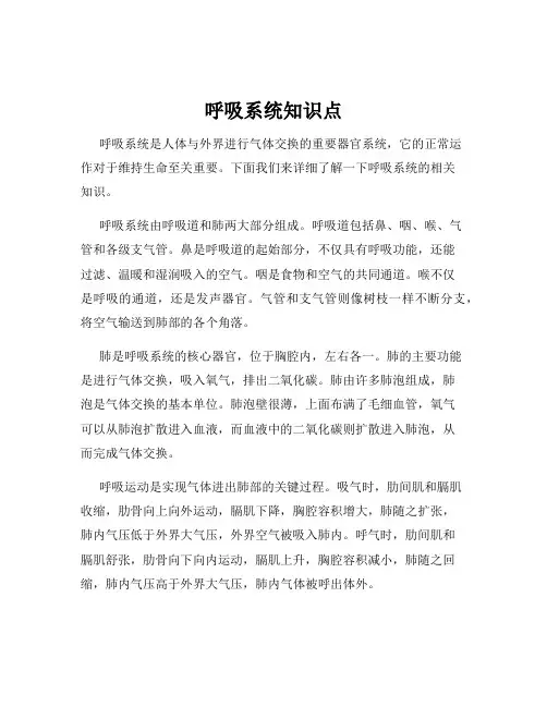 呼吸系统知识点