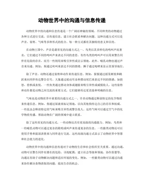 动物世界中的沟通与信息传递