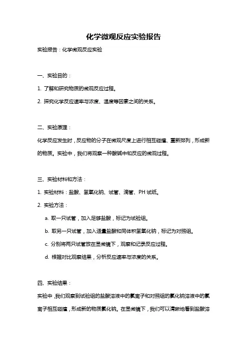 化学微观反应实验报告