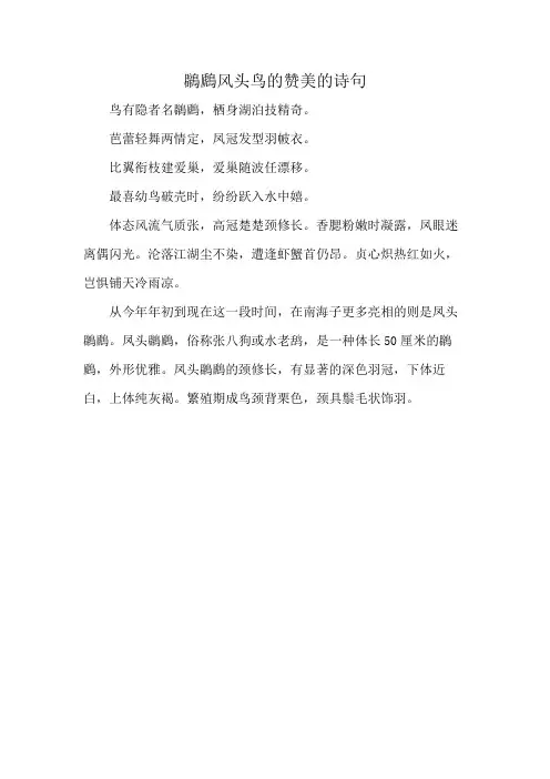 鸊鷉风头鸟的赞美的诗句