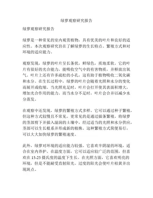 绿萝观察研究报告