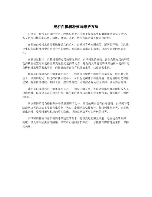 浅析白桦树种植与养护方法