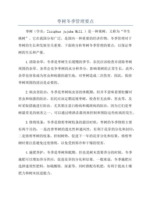 枣树冬季管理要点