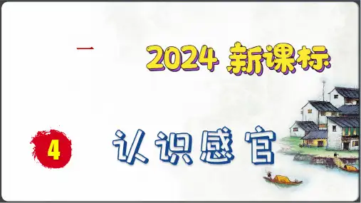 认识感官 课件(29张PPT)