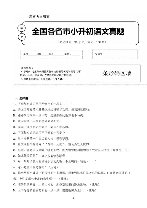 【小升初】2020年安徽省合肥市 小升初语文毕业会考试题含答案(全网唯一)