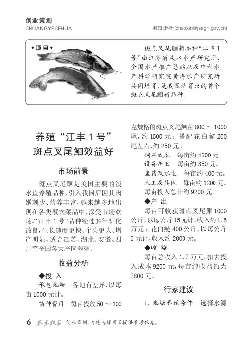养殖“江丰1号”斑点叉尾鮰效益好