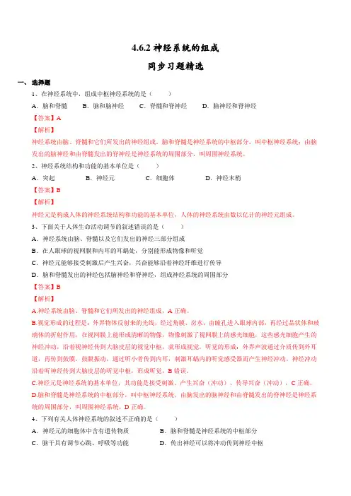 4.6.2 神经系统的组成(解析版)