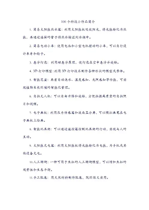 100个科技小作品