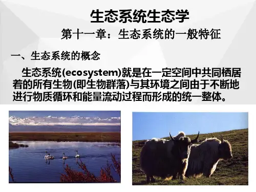 生态系统的一般特征ppt