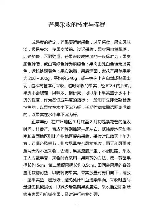 芒果采收的技术与保鲜