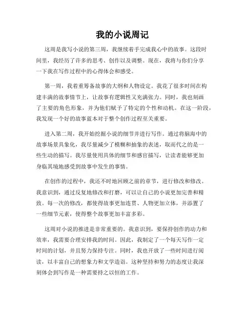 我的小说周记