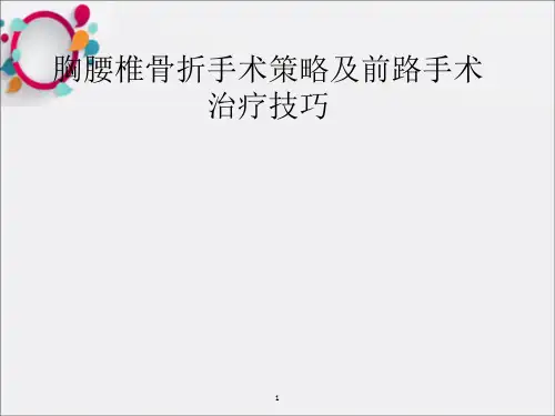 胸腰椎骨折选择治疗ppt课件