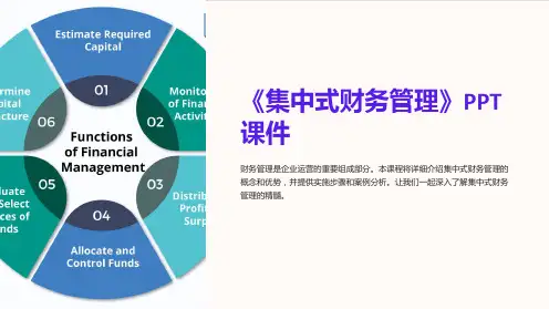 《集中式财务管理》课件