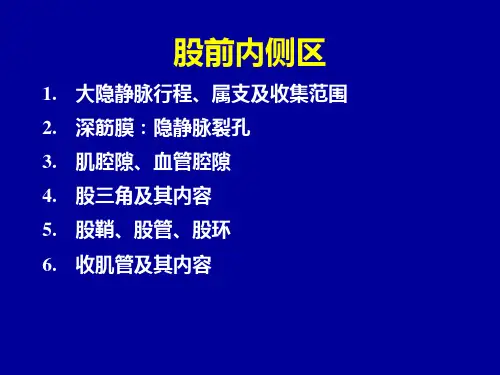 下肢前区胸前壁腋窝小结ppt课件