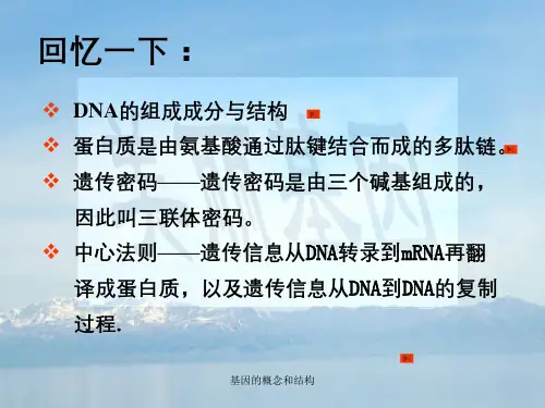 基因的概念和结构