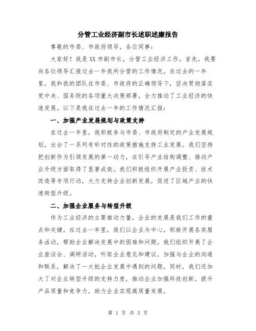 分管工业经济副市长述职述廉报告