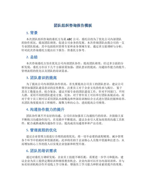 团队组织咨询报告模板