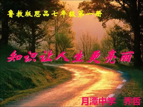 学习——成才的阶梯PPT课件2 鲁教版(52张)