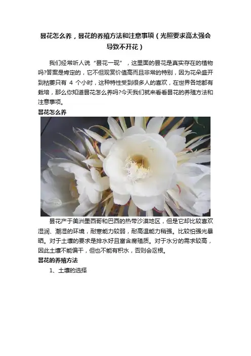 昙花怎么养，昙花的养殖方法和注意事项（光照要求高太强会导致不开花）