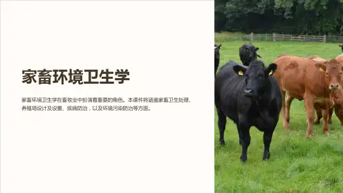 《家畜环境卫生学》课件
