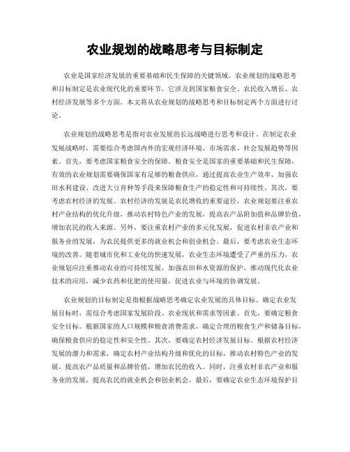 农业规划的战略思考与目标制定
