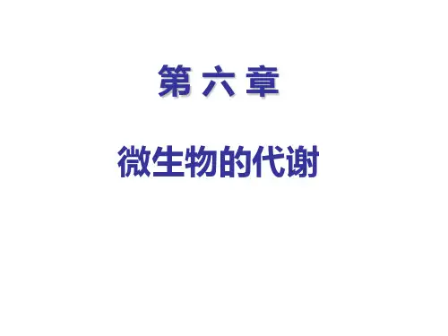 第6章微生物的代谢