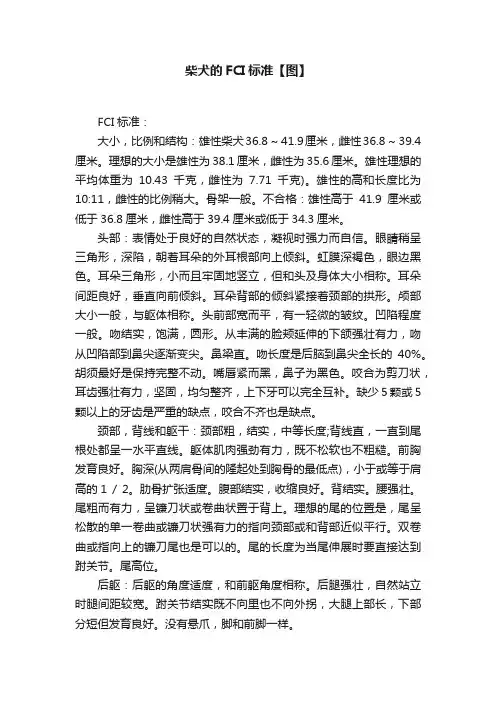 柴犬的FCI标准【图】