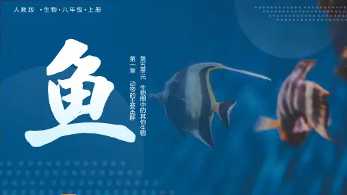 《鱼》PPT教学课件