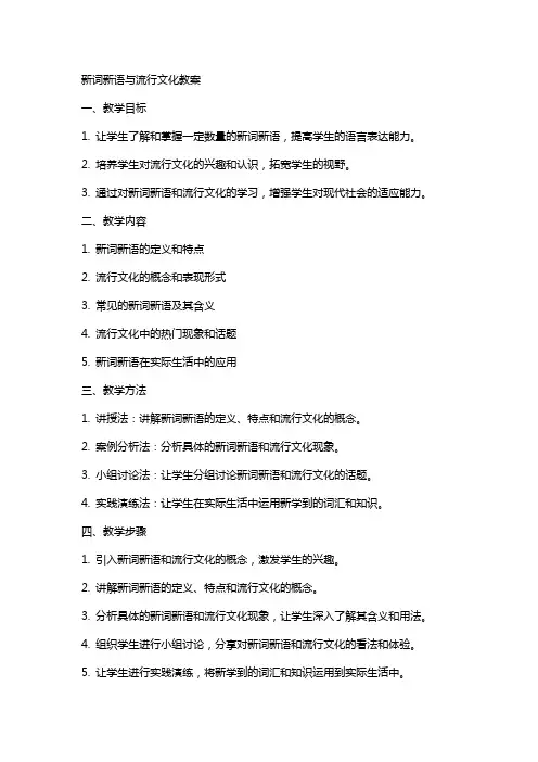 新词新语与流行文化教案