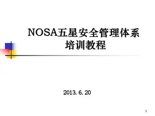 NOSA五星安全管理体系培训教程