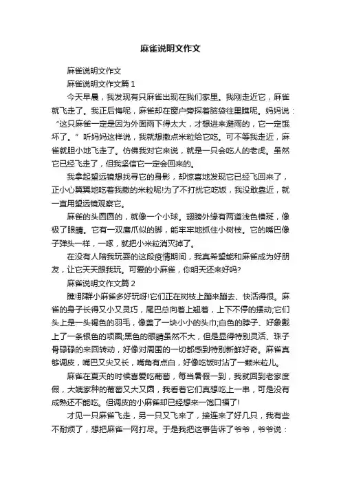 麻雀说明文作文