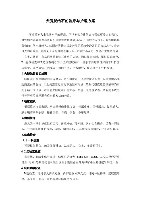 犬膀胱结石的治疗与护理方案毕业设计