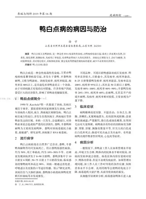 鸭白点病的病因与防治
