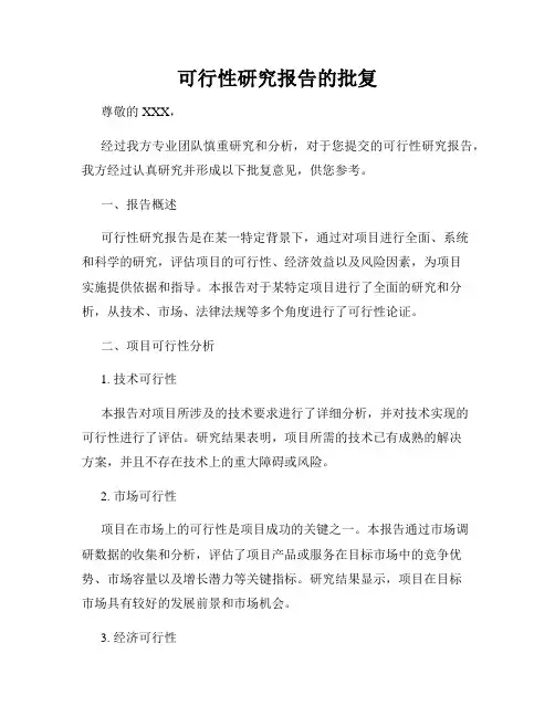 可行性研究报告的批复