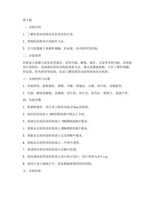 肝组胚实验报告(3篇)