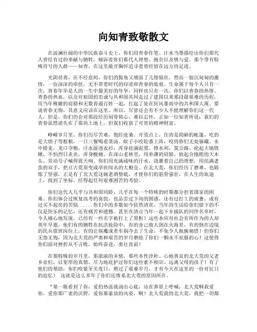 向知青致敬散文