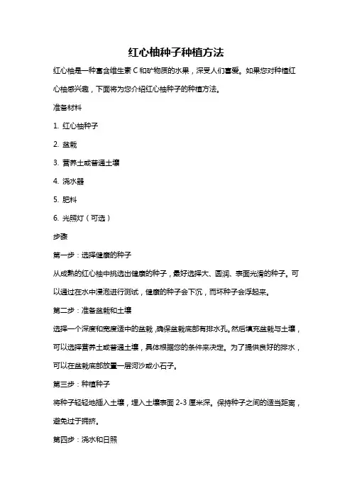 红心柚种子种植方法