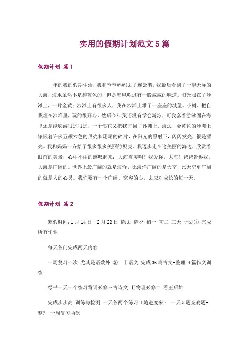 实用的假期计划范文5篇