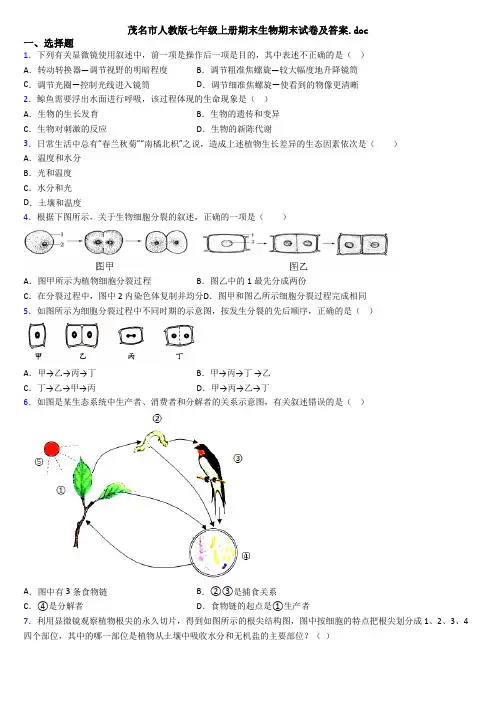 茂名市人教版七年级上册期末生物期末试卷及答案.doc