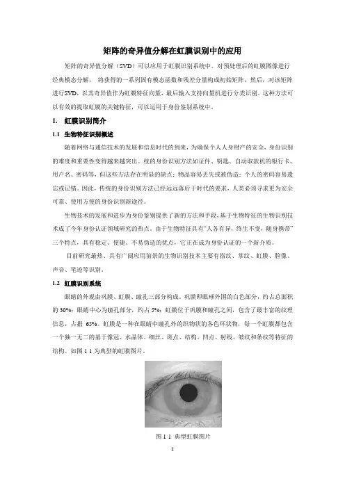 矩阵的奇异值分解在虹膜识别中的应用
