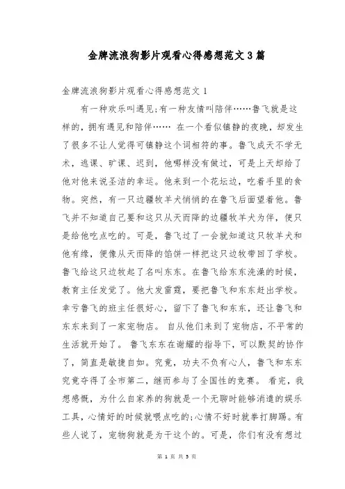 金牌流浪狗影片观看心得感想范文3篇