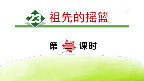 《祖先的摇篮》语文教学PPT课件(7篇)
