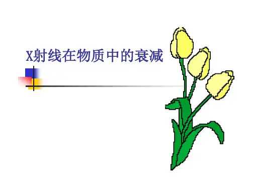 第五章X射线的衰减规律