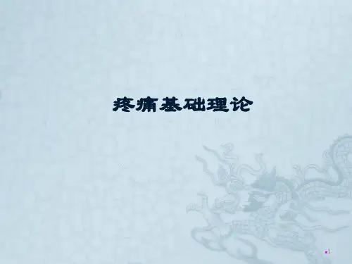 疼痛基础理论ppt课件