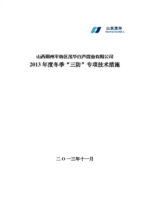 2013年冬季三防专项措施